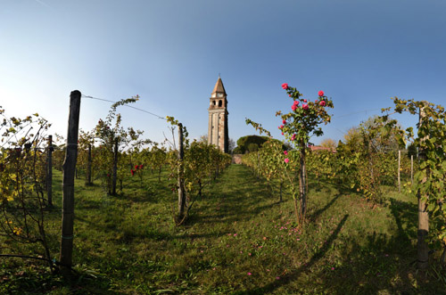 Destination marketing - Vinyard and old belltower on the Island of Mazzorbo Venice, 360 degree wine resort virtual tour panorama.