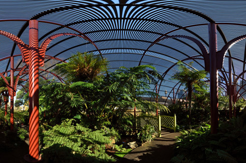 The Fern House, Royal Botanical Gardens Sydney