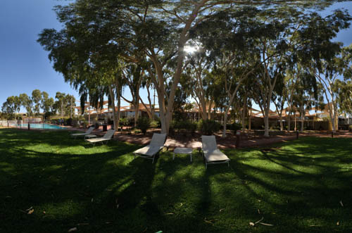 Green grass and a swimming pool seen from under large shady gum trees at Sails Resort. 360 degree panorama photograph.