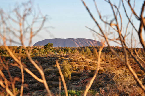 A telephoto view of Uluru in late afternoon light from the lookout at Sails Resort Yulara.