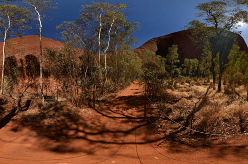 Native gum trees line the trails to Mutitjulu Waterhole in a 360° Virtual Tour of Uluru-Kata Tjuta National Park