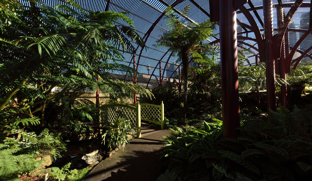 The Fern House, Royal Botanic Gardens Sydney